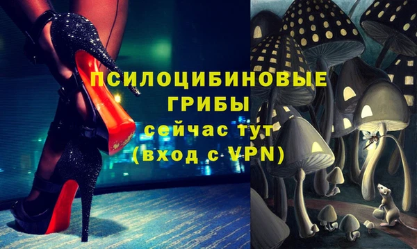 дурь Бородино