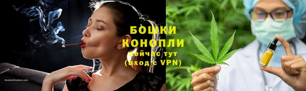 дурь Бородино