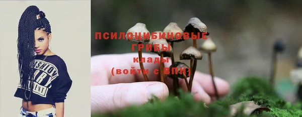 дурь Богданович