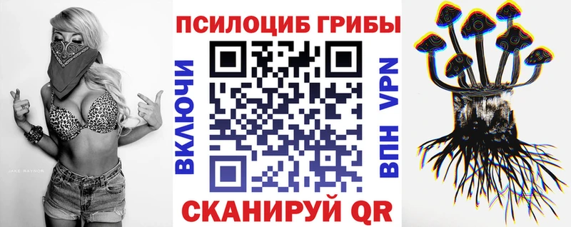 Псилоцибиновые грибы прущие грибы  Купить  Перевоз 