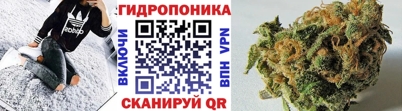 Купить  Перевоз  Бошки Шишки тримм 